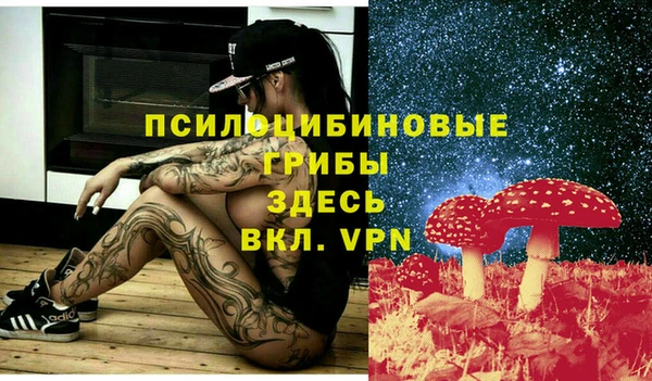 твердый Михайловка