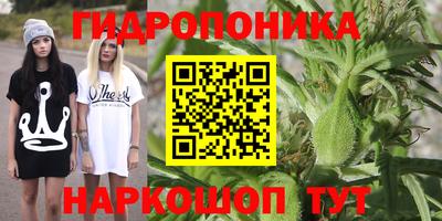 стаф Апшеронск