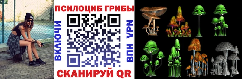 kraken маркетплейс  Астрахань  Галлюциногенные грибы Psilocybine cubensis 