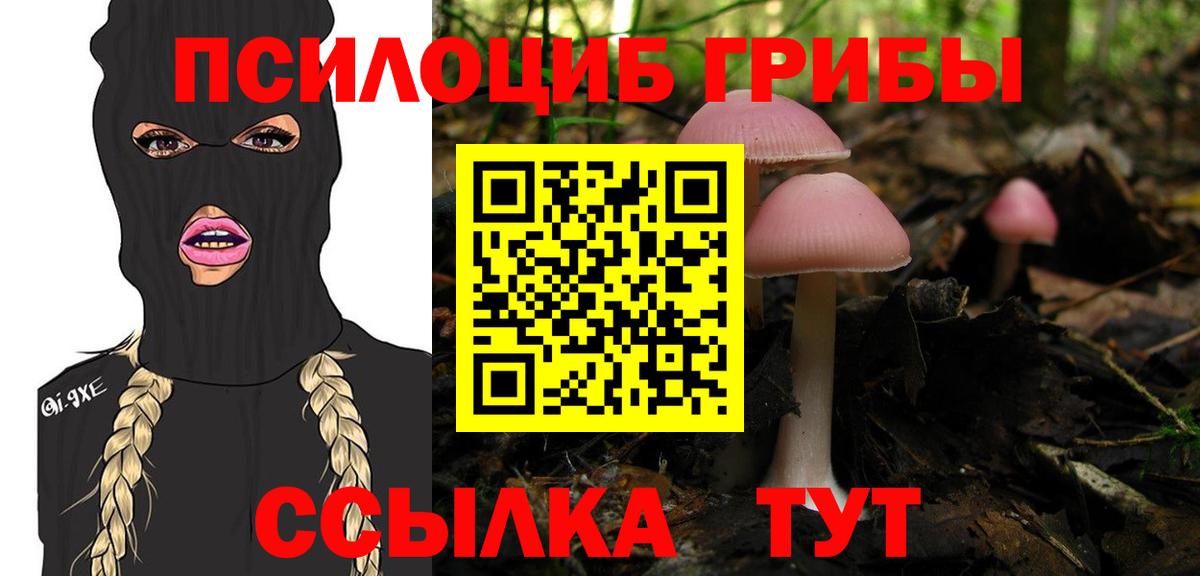 Псилоцибиновые грибы Cubensis Астрахань