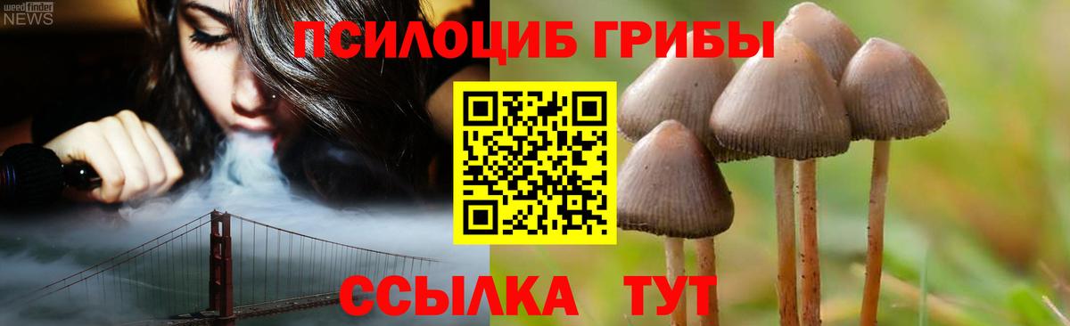Псилоцибиновые грибы Psilocybe  Псилоцибиновые грибы прущие грибы  Астрахань  Вход с VPN 