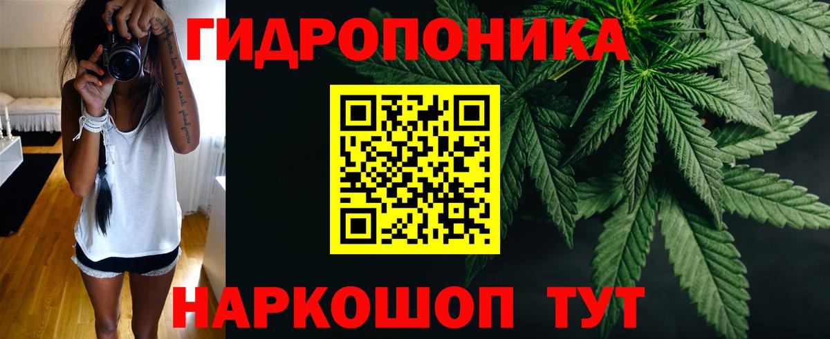 Шишки марихуана OG Kush  Астрахань  Бошки Шишки Ganja  Каннабис OG Kush 